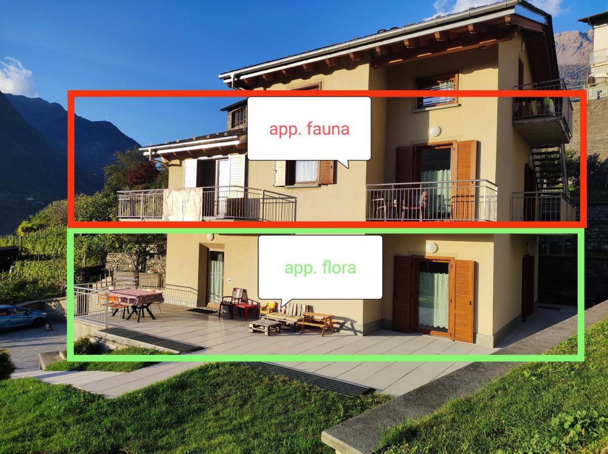 Apartamento Pisolo Selvaggio Tirano Exterior foto