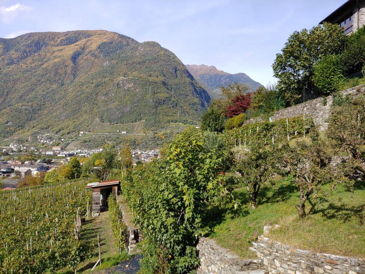 Apartamento Pisolo Selvaggio Tirano Exterior foto